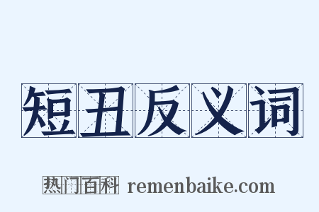 短丑反义词是什么意思的图片